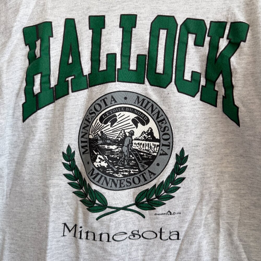 3/$30 🌟 Vintage 1992 Minnesota Hallock Tshirt - Picture 2 of 7